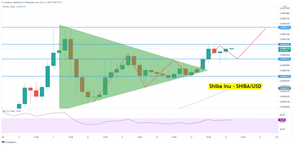 shiba inu technische analyse