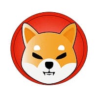 shiba inu coin