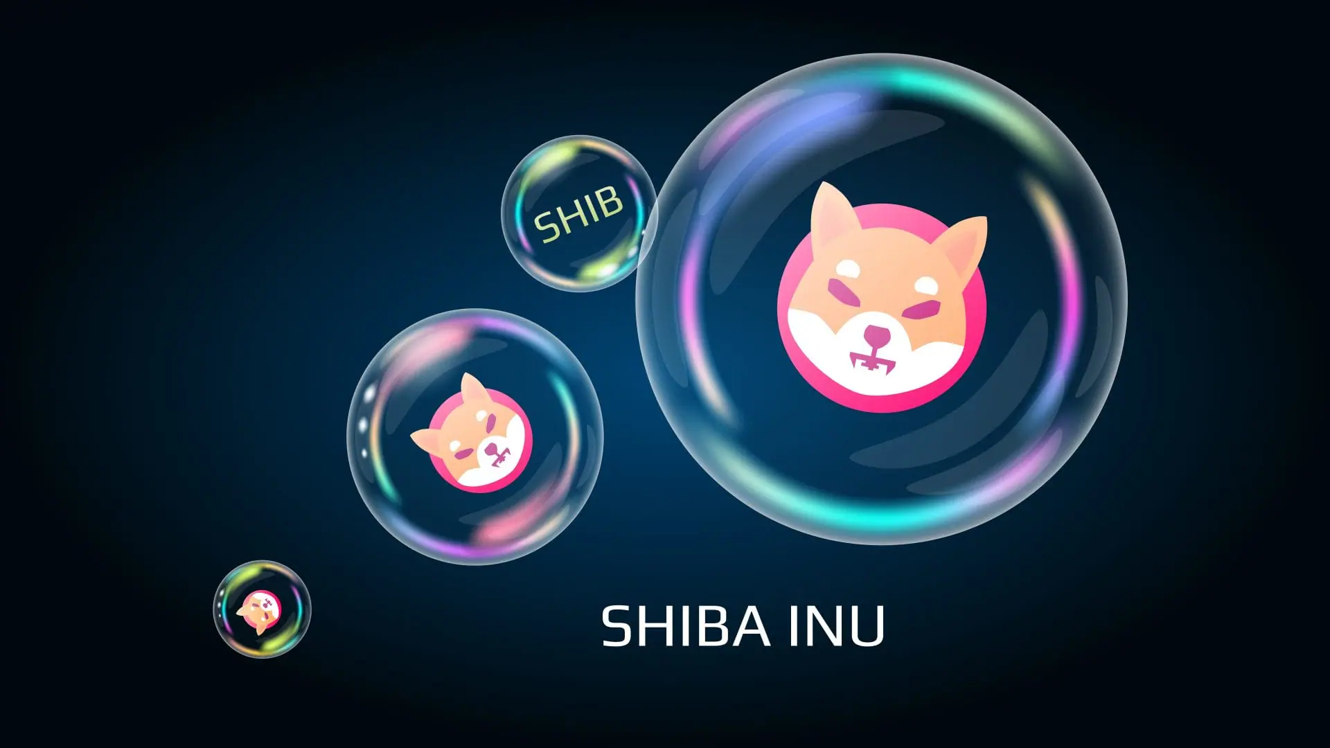 Shiba Inu – Dit is de routekaart voor een prijsstijging van 100%