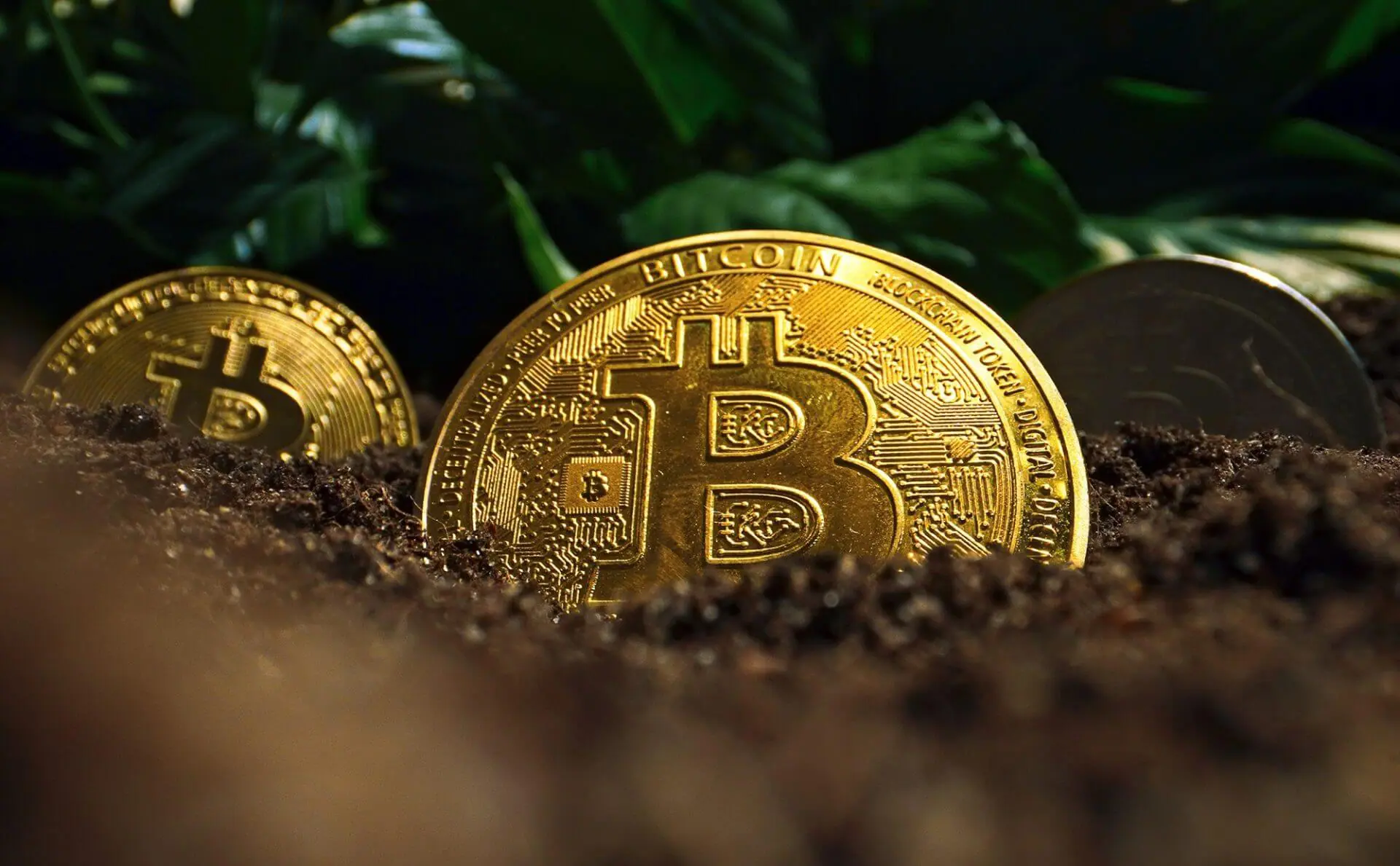Speculatie: Michael Dell investeert in Bitcoin
