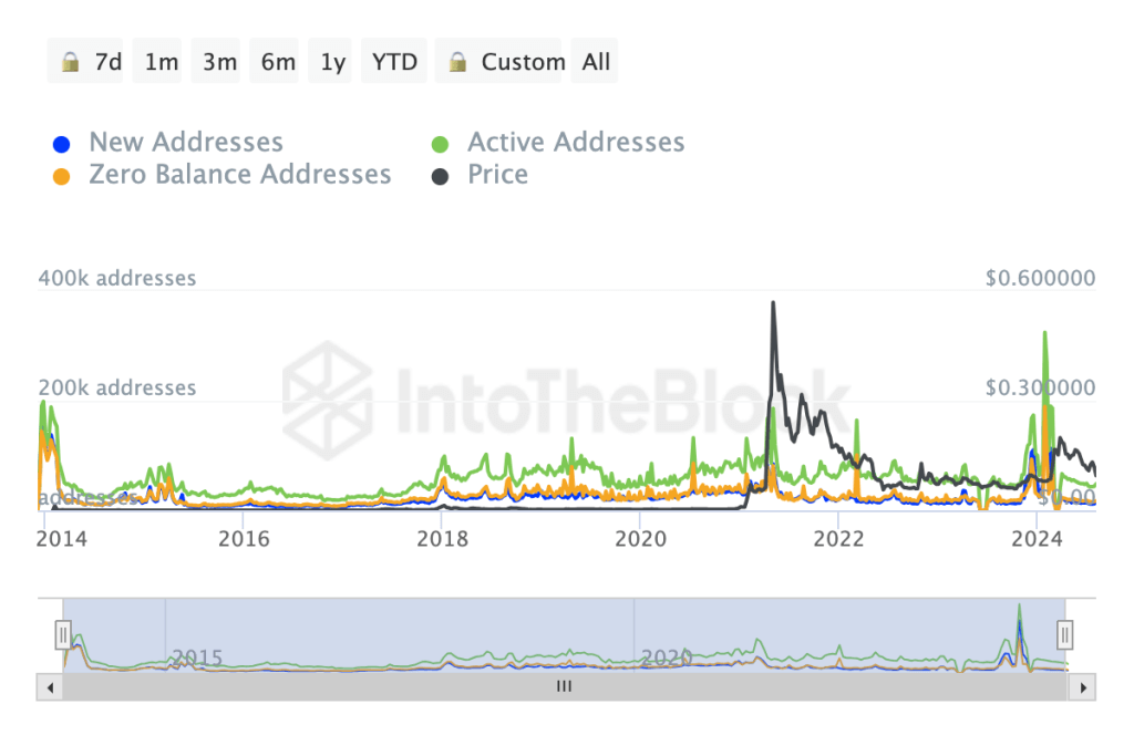 actieve dogecoin houders