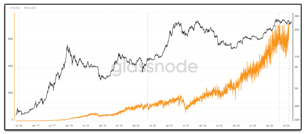 bitcoin hashrate augustus2024