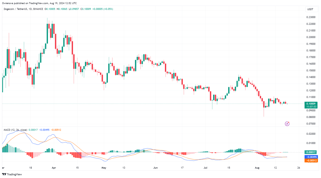 Dogecoin-Kursgrafik August 2024