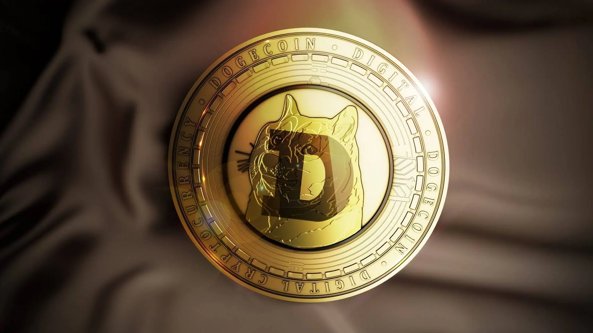 Opvallend: meeste Dogecoin houders staan nog op winst