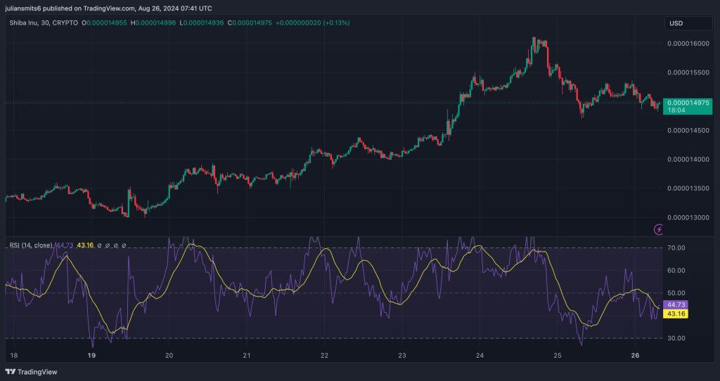 shiba inu koersgrafiek augustus2024