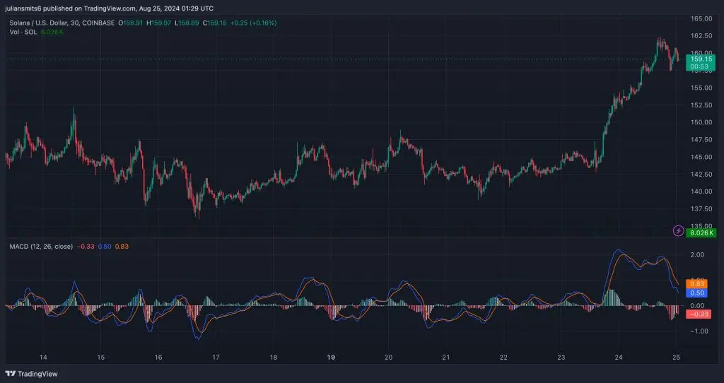 solana macd grafiek augustus2024