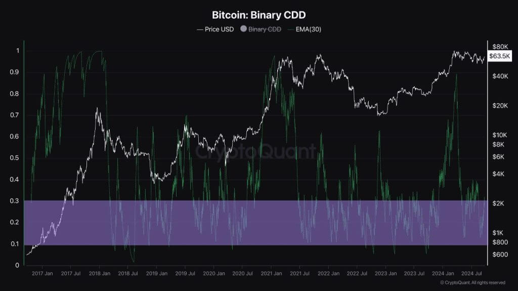 bitcoin binary cdd