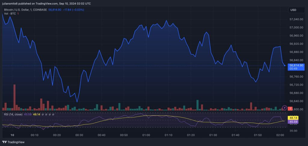 bitcoin kursgrafik 10september2024