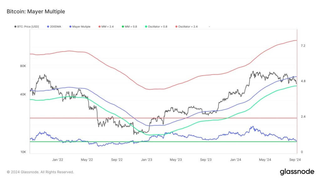 bitcoin mayer multiple