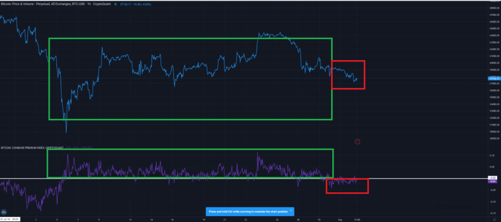 metric cryptoquant september2024