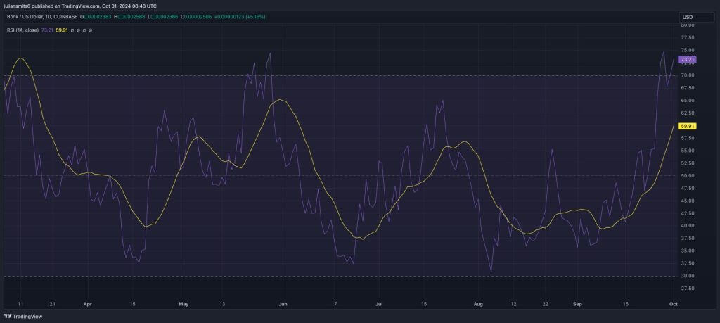 Bonk RSI okober2024