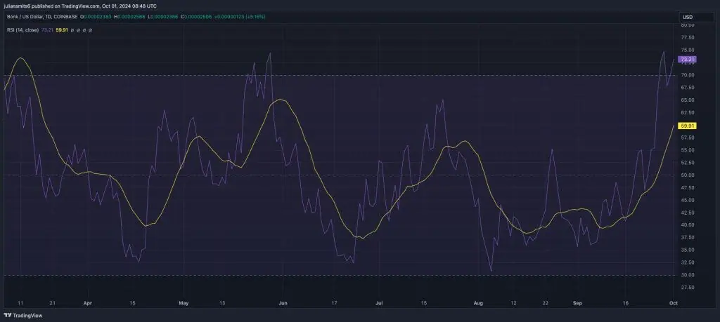 Bonk RSI okober2024