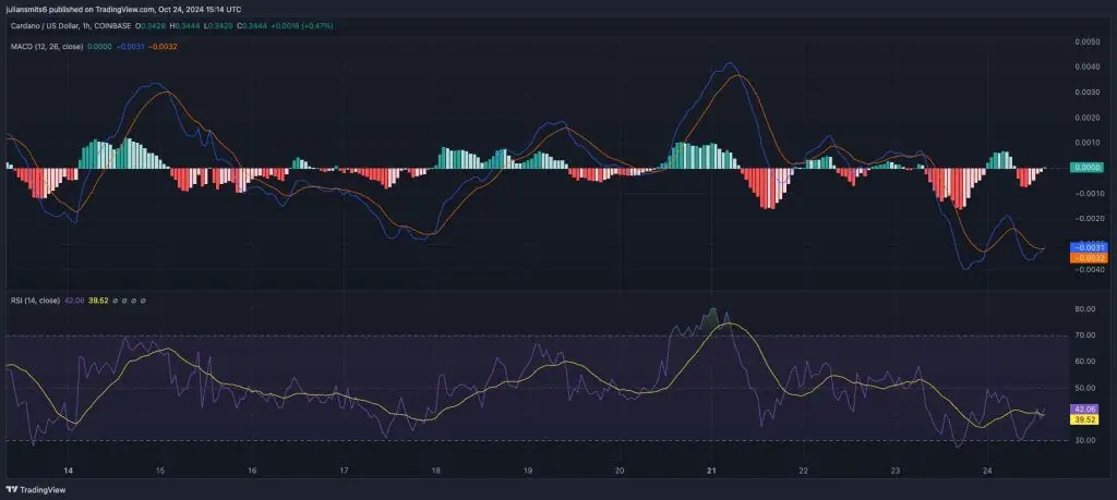 MACD Realtive Strength Index