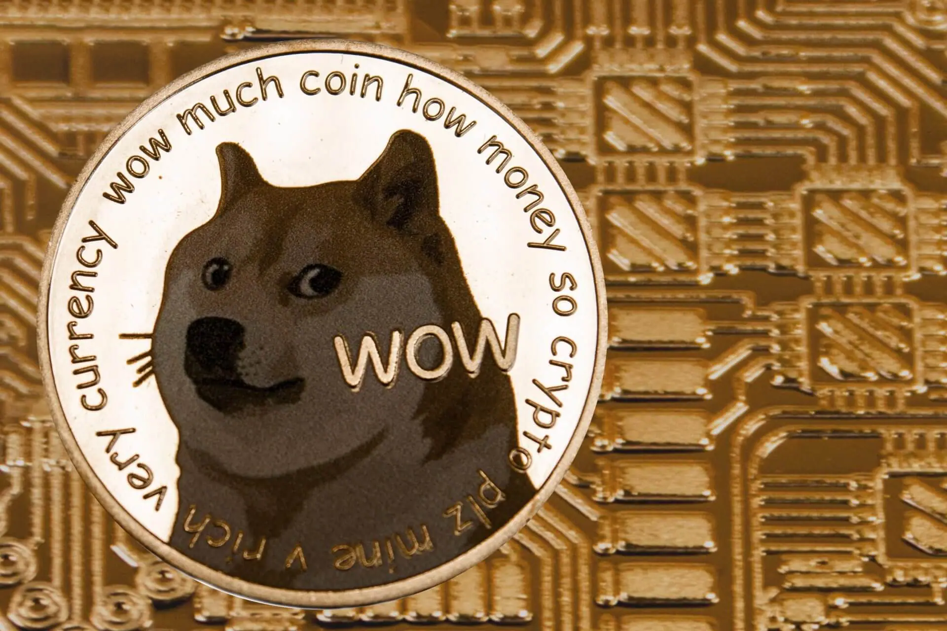 Dogecoin oprichter wil dat DOGE meer waard wordt dan IBM