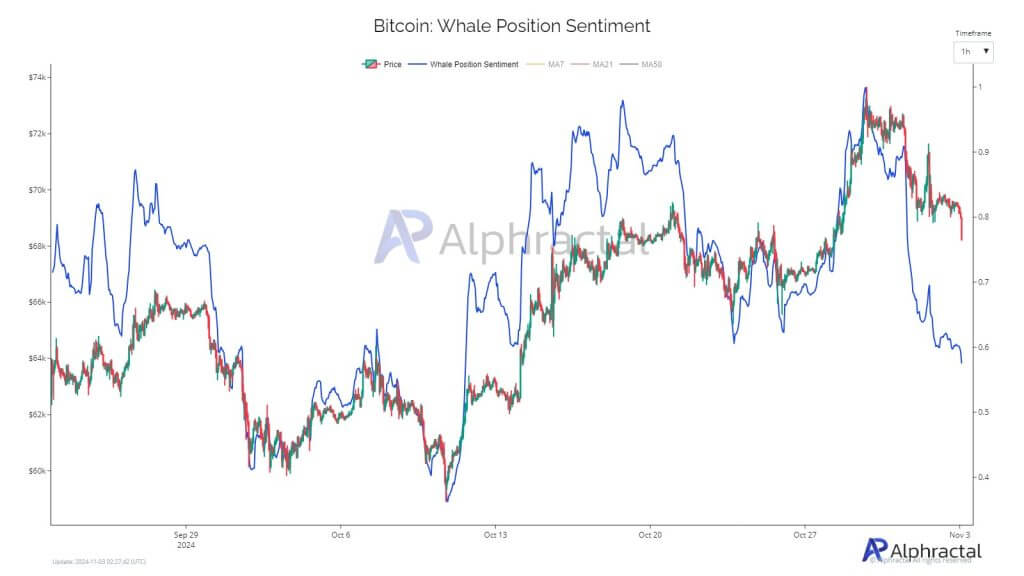 bitcoin whale shorts