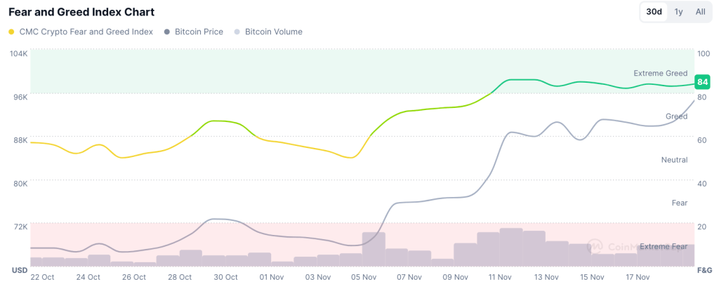 Fear and Greed Bitcoin November 2024