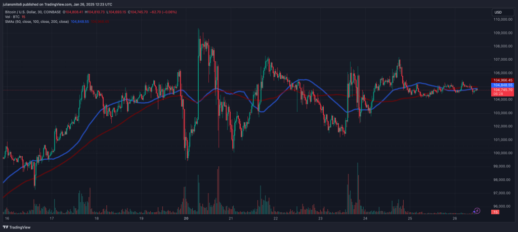 Bitcoin koersgrafiek januari2025